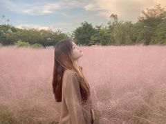 -广东花都香草世界旅游度假区