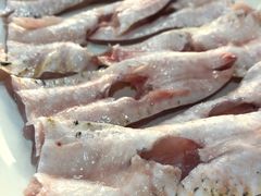 鲮鱼肚-章记正宗南岗鱼蛋火锅