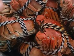 android_upload_pic-丫丫蟹庄·苏式园林农家乐·阳澄湖大闸蟹(阳澄湖莲花岛店)