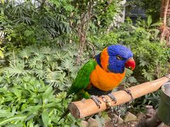 -南宫五洲植物乐园