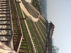 密云玫瑰情园-密云玫瑰情园