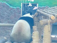 -黔灵山公园