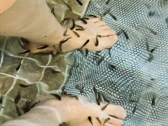 -中家鑫园温泉酒店鑫悦汤泉