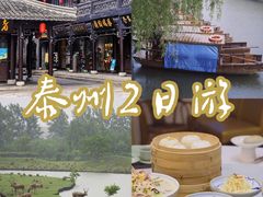 -溱湖国家湿地公园