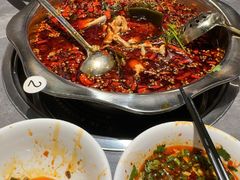 -川胖子美蛙鱼头(公园路店)