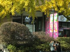 -巴黎春天(浦建店)
