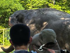 -合肥野生动物园