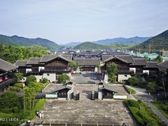 -大唐贡茶院