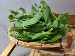 -阿婆情腊排骨火锅(饮玉巷店)