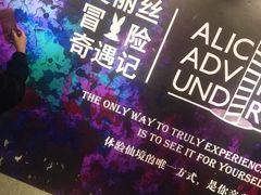 -爱丽丝冒险奇遇记