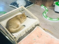 -宠物世家(仲盛世界商城店)