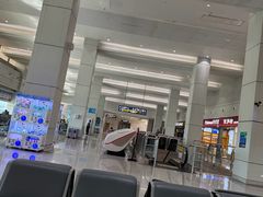 -宜春明月山机场