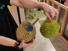 -都念榴莲·城市榴莲