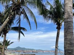 -玫瑰海岸文化旅游度假区