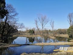 -西溪国家湿地公园