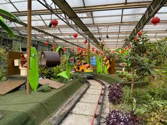 -南宫五洲植物乐园