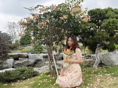 -东莞植物园