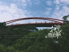 -金鸡山公园