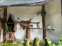 -吉隆坡雀鸟公园