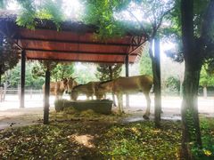 -济南野生动物世界