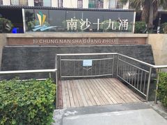 -大湾区中央湿地公园-十九涌