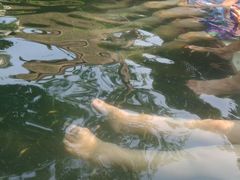 -海兰云天度假区温泉