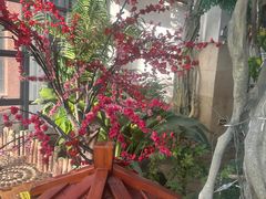 -悦隆庄温泉度假酒店