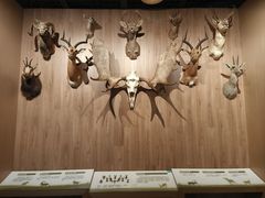 -陕西自然博物馆