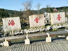 -香雪海