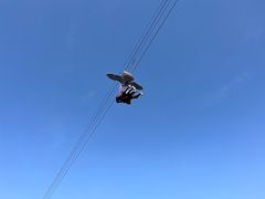 -蓝精灵乐园·世茂精灵之城主题乐园