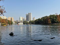 -荔湾湖公园