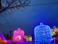 -祥源·阜阳生态乐园