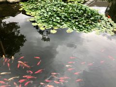 -昆明洲际酒店