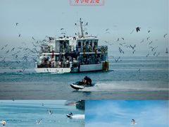 -海驴岛(荣成市)