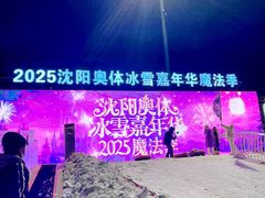 -沈阳奥体冰雪嘉年华