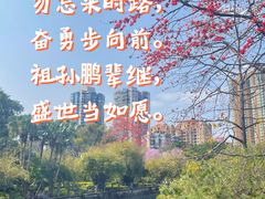 -晓港公园