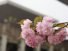 -龙美术馆(西岸馆)