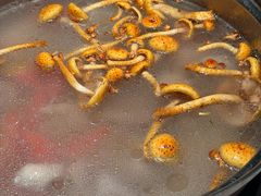 -烹然四季椰子鸡火锅(姚家园万象汇店)