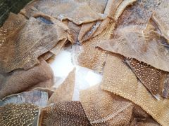 -坎爷秘制火锅(一格广场店)