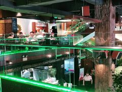 -三强鸽子(中原路店)