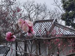 -无锡梅园公园