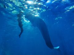 -多彩贵州城极地海洋世界