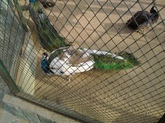 -月亮河温泉度假酒店