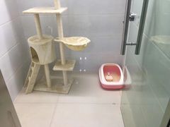 -佳雯宠物医院(金华南路分院)