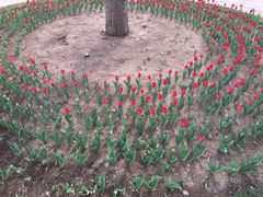 -长春公园(普阳街道)