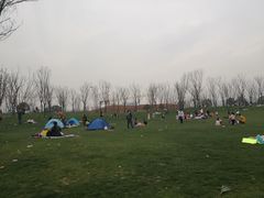 -盘龙城国家考古遗址公园