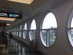 -厦门高崎国际机场-T3航站楼