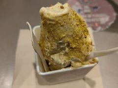 -野人先生现做冰淇淋(西安赛格店)