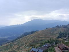 -紫鹊界梯田景区