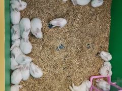 -利客来李村购物中心